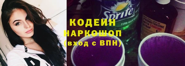 СК Няндома