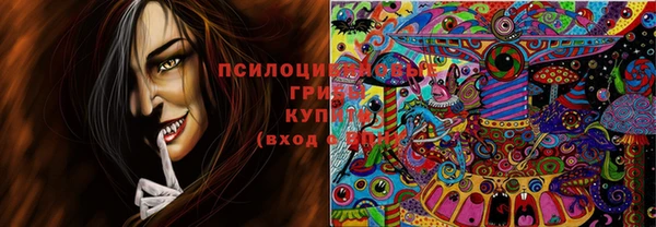 экстази Осташков