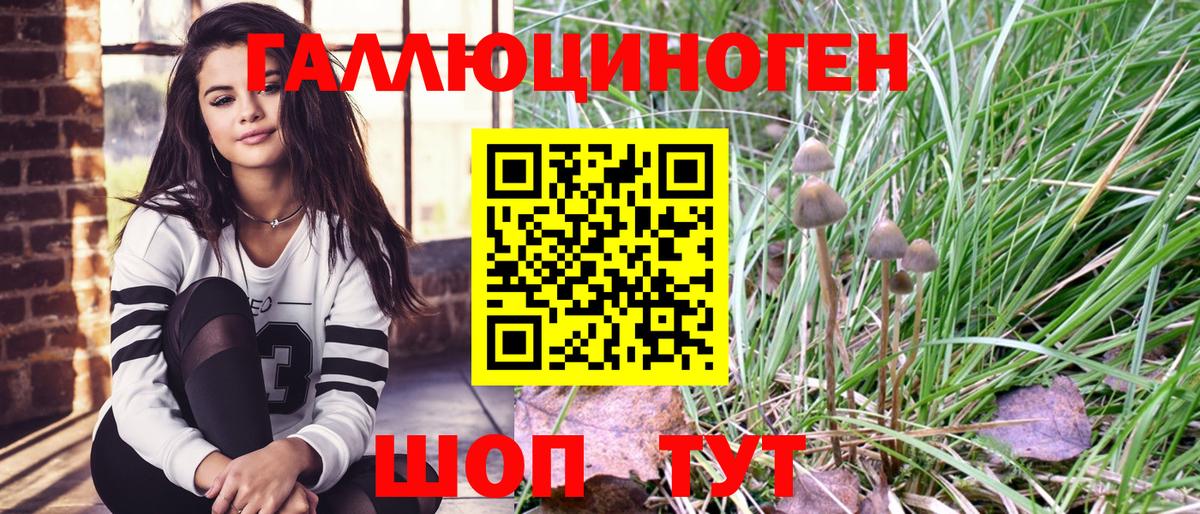 Галлюциногенные грибы прущие грибы Ахтубинск