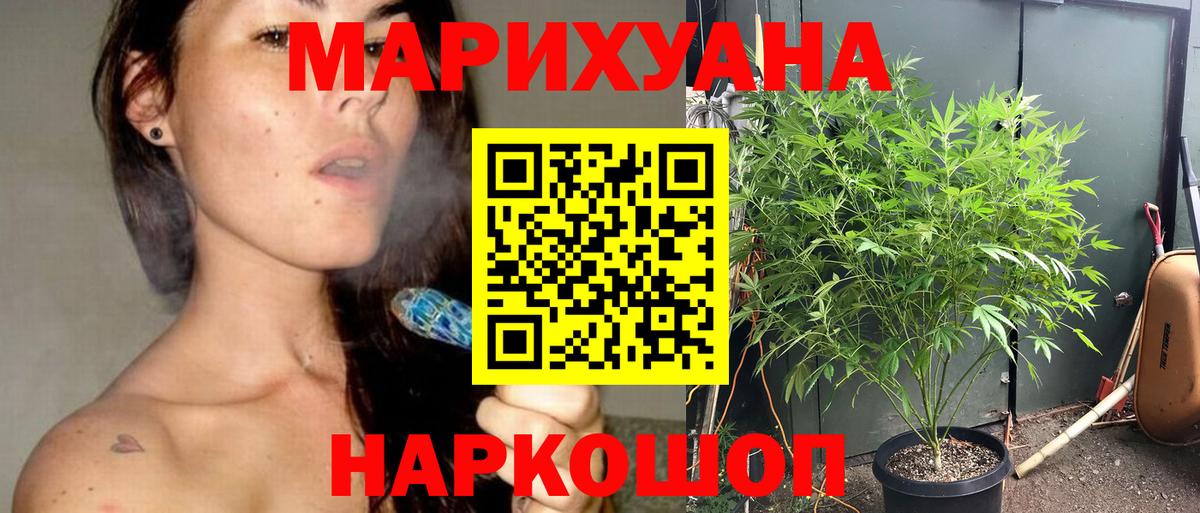 Бошки марихуана конопля Ахтубинск